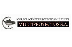 multiproyectos